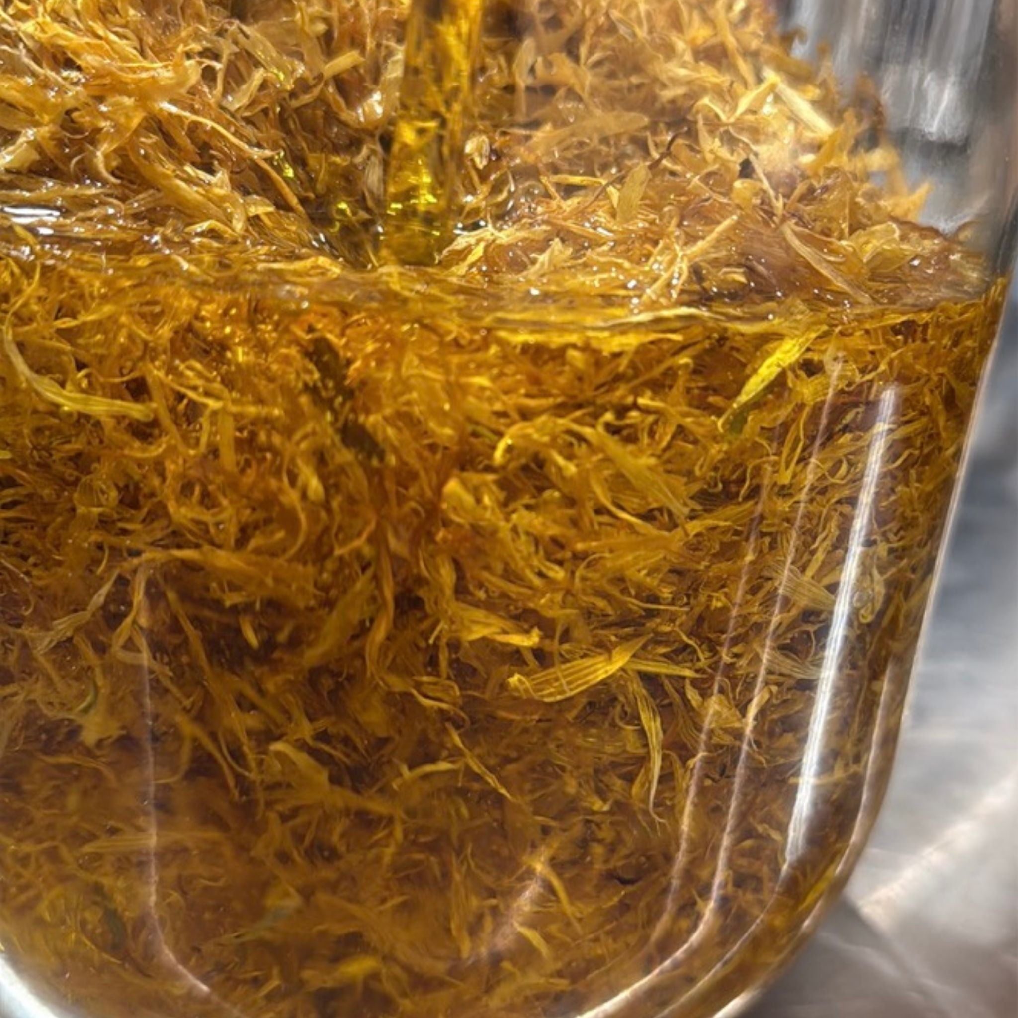 Celendula_Infused_Oil.jpg