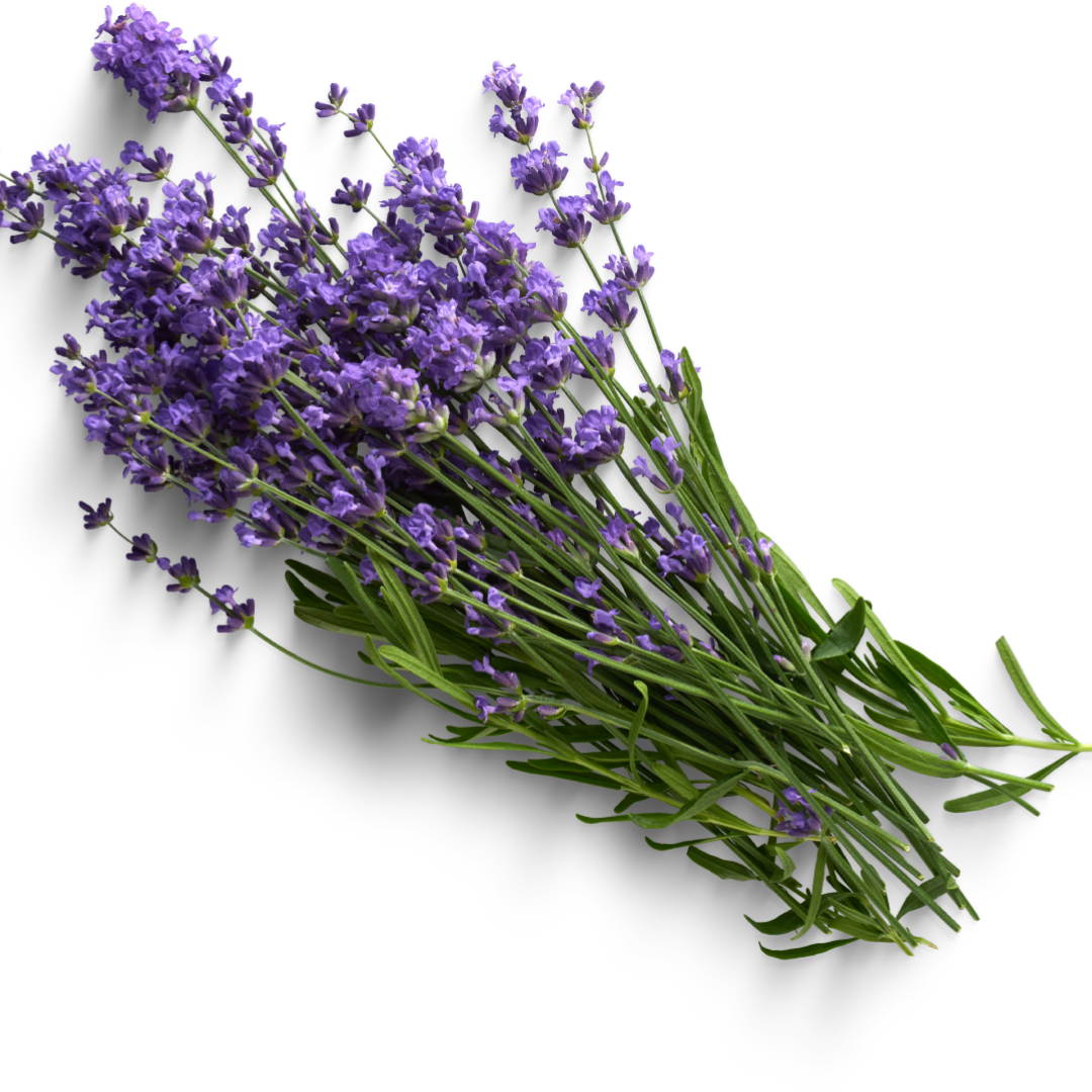 FAT_RITUAL_INGREDIENTS_LAVENDER.png